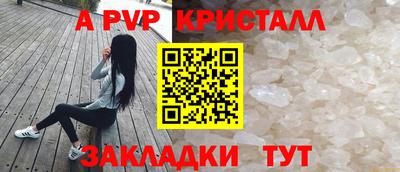 стафф Дубна