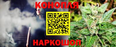 стафф Дубна