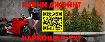 стафф Дубна