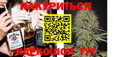 стафф Дубна