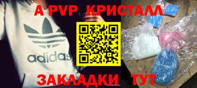 стафф Дубна